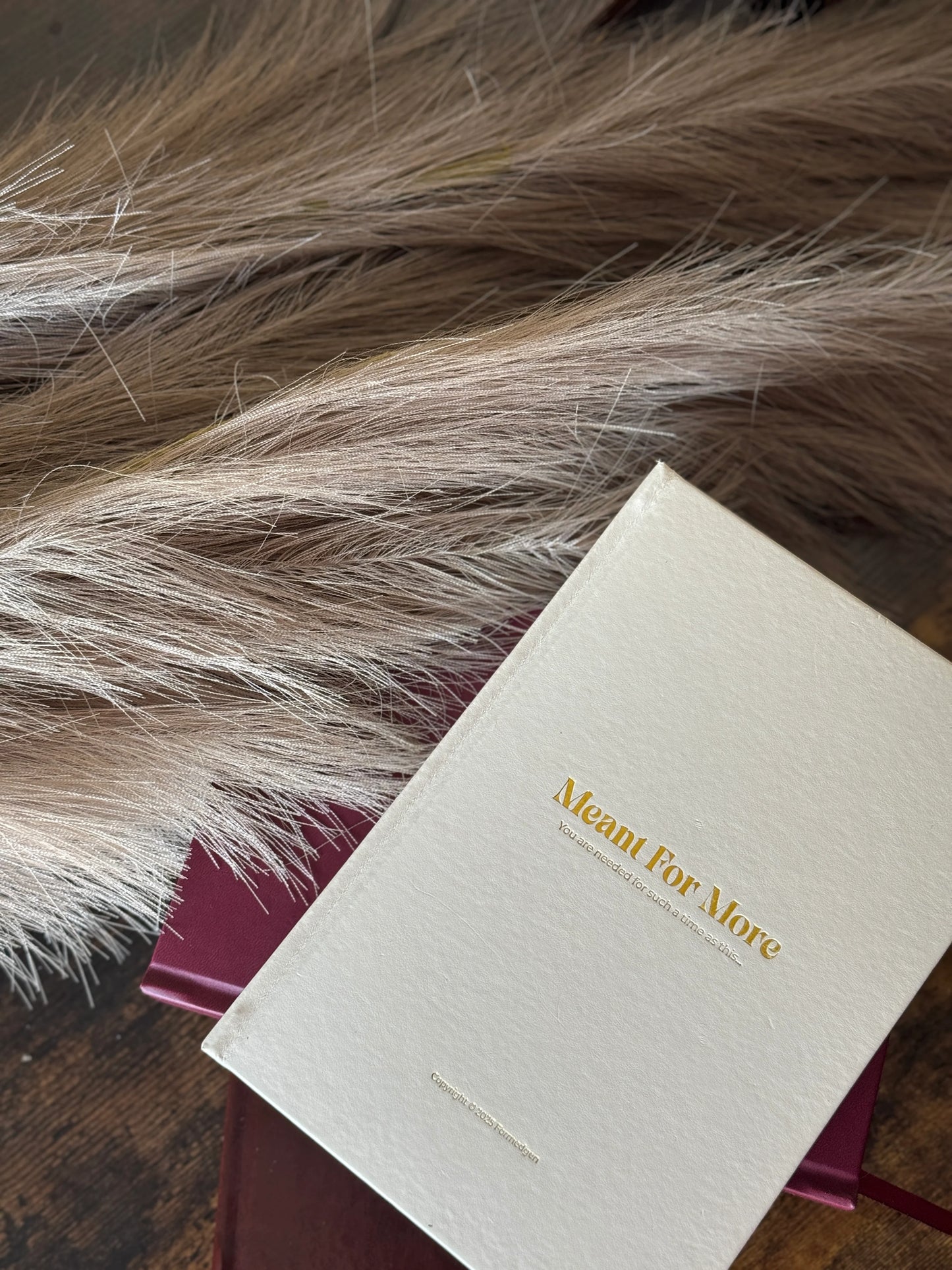 Meant for More Breakthrough Kit