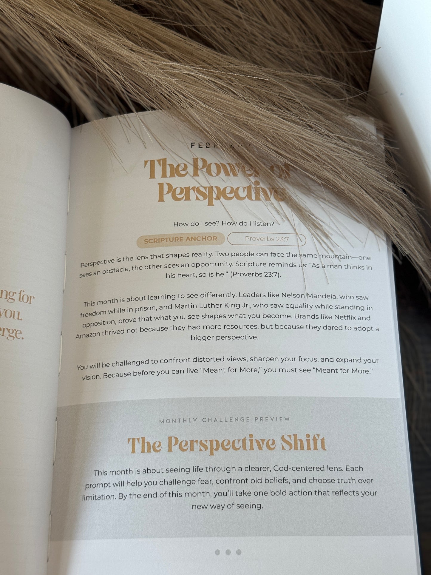 “Meant for More” Guided Journal