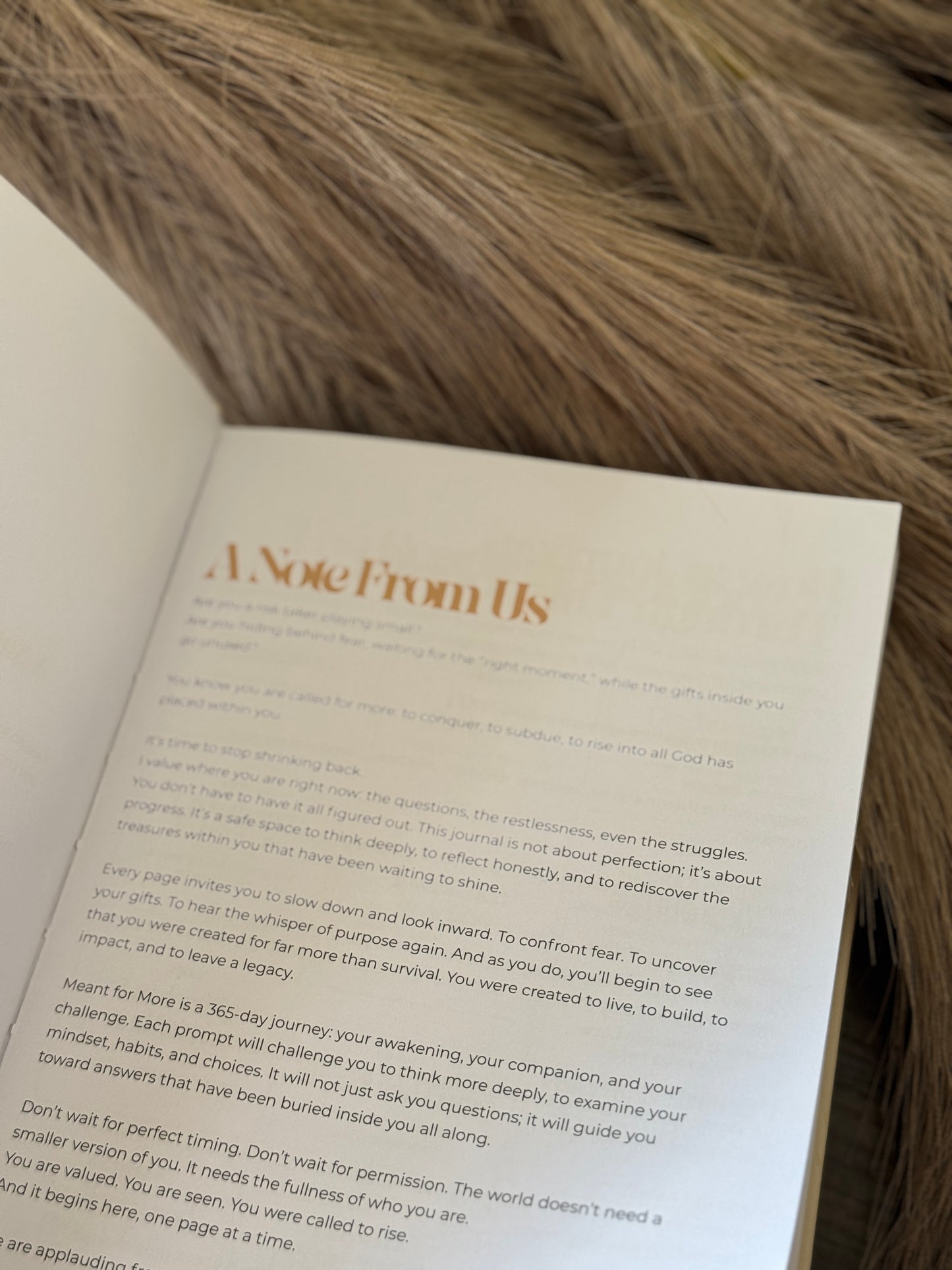 “Meant for More” Guided Journal