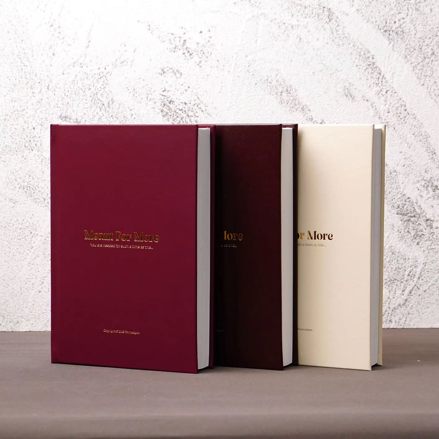 “Meant for More” Guided Journal