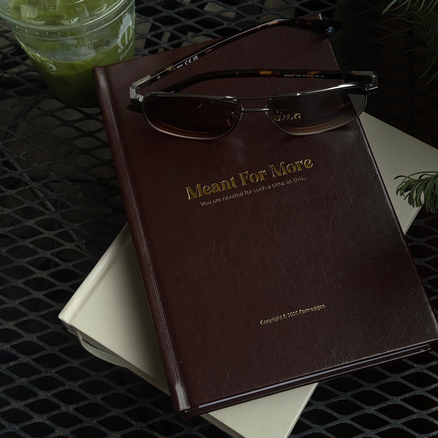 “Meant for More” Guided Journal